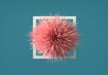 Abstract geometric shape like pink sea urchin with spikes coming out of a picture frame on blue background Royalty Free Stock Photo