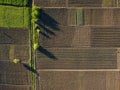 Aerial photo of agro, summer view of green land with fields and gardens.