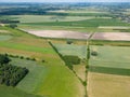 Abstract geometric shapes of agricultural parcels of different crops in yellow and green colors. Aerial view shoot from drone Royalty Free Stock Photo