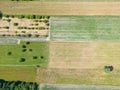 Abstract geometric shapes of agricultural parcels of different crops in yellow and green colors. Aerial view shoot from drone Royalty Free Stock Photo