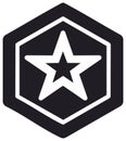 Abstract geometric star symbol enclosed within layered hexagonal outlines vector icon Royalty Free Stock Photo