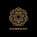 Abstract geometry mandala logo creative concept