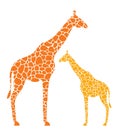 Abstract Giraffe Family