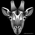 Abstract giraffe head on black background, optical illusion