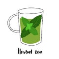 Abstract glass cup illustration with herbal mint tea on a white background