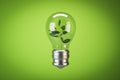 Abstract glass light bulb with plant inside on light backdrop. Green energy concept. Royalty Free Stock Photo