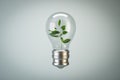 Abstract glass light bulb with plant inside on light background. Green energy concept. Royalty Free Stock Photo