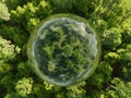 Abstract globe with green trees