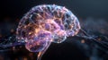 Glowing Brain Network Illustration, Representing the Future of Artificial Intelligence, Royalty Free Stock Photo