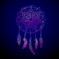 Abstract glowing dreamcatcher in blue and pink colors. Luminescence illustration. Boho style background, ethnic design elem Royalty Free Stock Photo