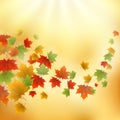 Abstract gold autumn background