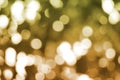 Abstract gold bokeh, Christmas and new year theme background Royalty Free Stock Photo