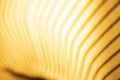 Abstract gold color line background Royalty Free Stock Photo