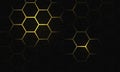 Abstract gold light hexagon mesh on black shadow design modern futuristic background vector Royalty Free Stock Photo