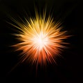 Abstract gold star. Vector Royalty Free Stock Photo