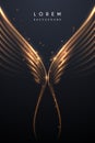 Abstract gold wings background with glow effect