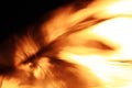 Abstract golden background of fire yea Royalty Free Stock Photo
