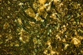 Abstract golden background. Gold natural mineral. Macro photo of the precious stone.