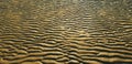 Abstract golden beach seabed sand background