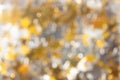 Abstract golden bokeh background. Blur yellow Christmas backdrop. Glitter, party, sparkle Royalty Free Stock Photo