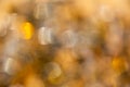 Abstract golden bokeh background. Blur yellow Christmas backdrop. Glitter, party, sparkle Royalty Free Stock Photo