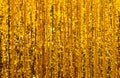 Abstract golden glitter curtain background