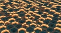 Abstract golden hexagonal grid pattern with vibrant lighting effects Royalty Free Stock Photo