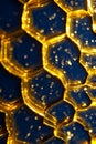 Abstract Golden Hexagonal Grid Vector, Glowing Digital Network Pattern. Portrait Images Generative AI Royalty Free Stock Photo