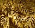Abstract Golden leaves background Royalty Free Stock Photo
