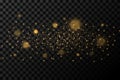 Abstract golden lights on a dark transparent background. Glares with flying glowing particles. Royalty Free Stock Photo