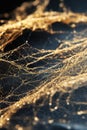 Abstract Golden Web on Dark Background with Glowing Threads. Royalty Free Stock Photo