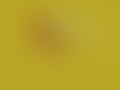 Abstract Golden Yellow Gradient Background with Subtle Texture Royalty Free Stock Photo