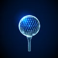 Abstract golf ball. Low polygonal style design. Royalty Free Stock Photo