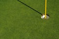 Abstract of Golf Green & Pin Royalty Free Stock Photo