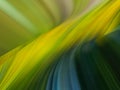 Abstract gradient Blurred colored background. Smooth transitions of iridescent green and yellow colors. Colorful Rainbow backdrop Royalty Free Stock Photo