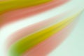 Abstract gradient Blurred colored background. Smooth transitions of iridescent red and yellow colors. Colorful Rainbow backdrop Royalty Free Stock Photo