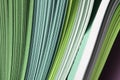 Abstract gradient green color wave curl strip paper background Royalty Free Stock Photo