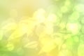 Abstract gradient green light and yellow colorful pastel spring or summer bokeh background with leaves and circular lights. Royalty Free Stock Photo