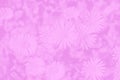 Abstract gradient soft pink magenta color background with pattern of daisy flowers Royalty Free Stock Photo