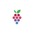 abstract grape logo icon