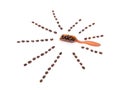 Abstract graphic of a spoonful of coffee beans and a lot of single coffee beans on a white background