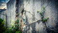 Abstract Gray Background with Intricate Cracked Cement Wall Texture Double Exposure A Study in Contrasting Materials Royalty Free Stock Photo