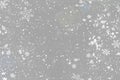 Abstract gray background, white snowflakes. New year, Christmas background. Royalty Free Stock Photo