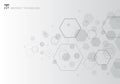 Abstract gray hexagon on white background. Geometric elements of design for modern communications, technology, digital, medicine, Royalty Free Stock Photo