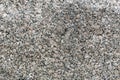 Abstract gray texture of stone material with patterns in the form of numerous spots. Royalty Free Stock Photo