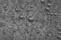 Abstract gray texture with water drops and metal surface close-up. Beautiful bright droplets shot with selective focus Royalty Free Stock Photo