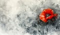 Abstract gray watercolor paint splash with red painted poppy. Lest we forget. Remembrance day or Anzac day symbol. With copyspace