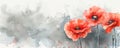 Abstract gray watercolor paint splash with red painted poppy. Lest we forget. Remembrance day or Anzac day symbol. With copyspace