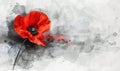 Abstract gray watercolor paint splash with red painted poppy. Lest we forget. Remembrance day or Anzac day symbol. With copyspace