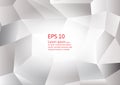 Abstract gray and white color polygon background, Vector illustration eps10 Royalty Free Stock Photo